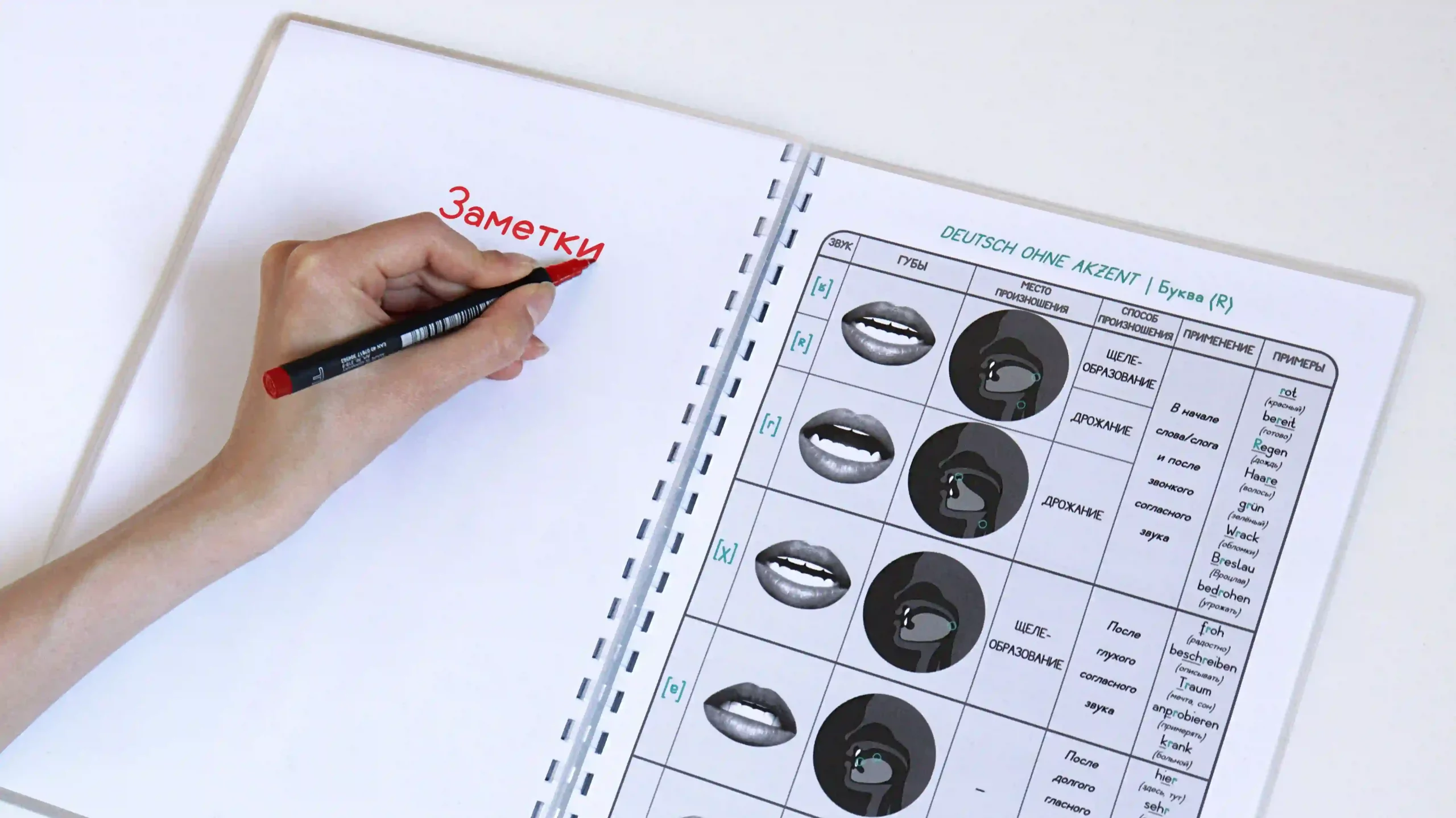 Продукты Продукты